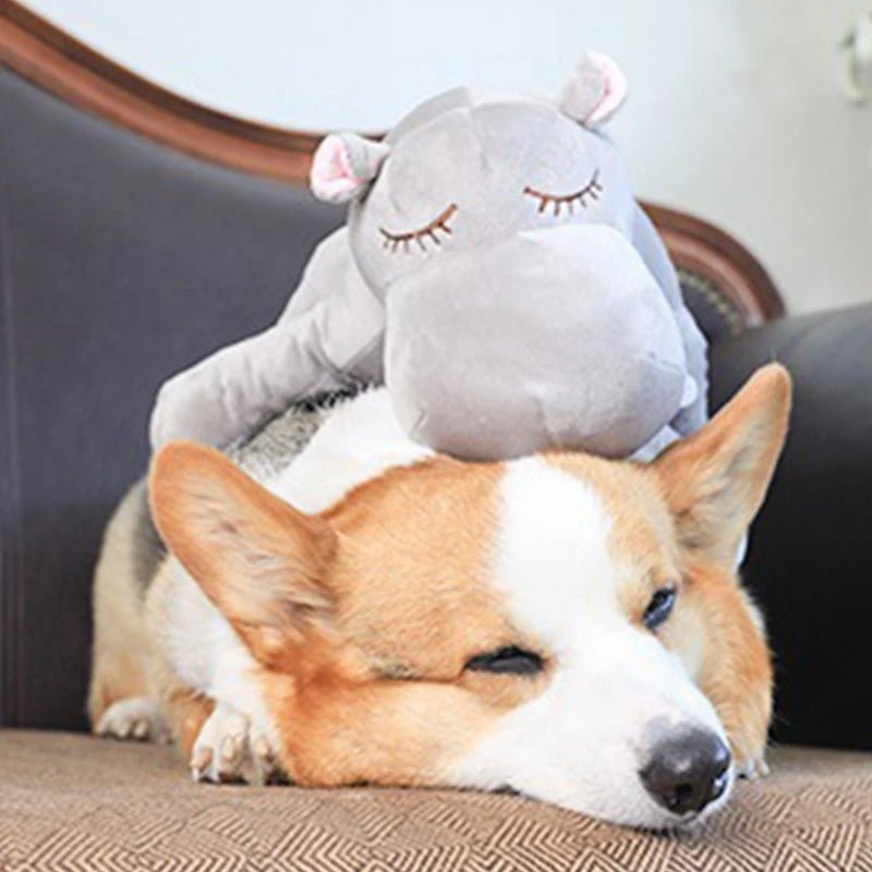 Adorable Heartbeat Puppy Training Toy for Dogs - silverfoxgoods